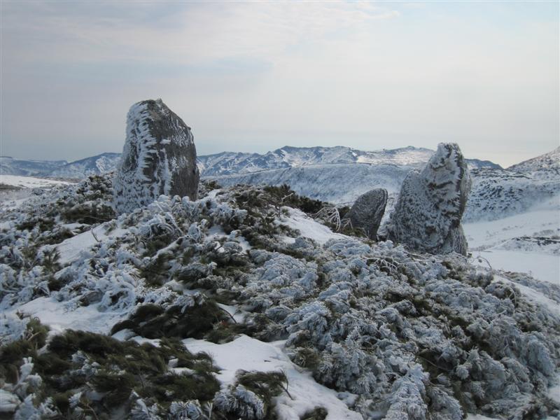 2-й_день_17-ПапаМамаИСыночек(ИлиДочка).jpg