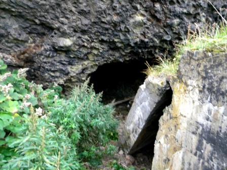 196.jpg