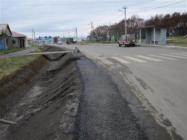 3 Зебра.JPG